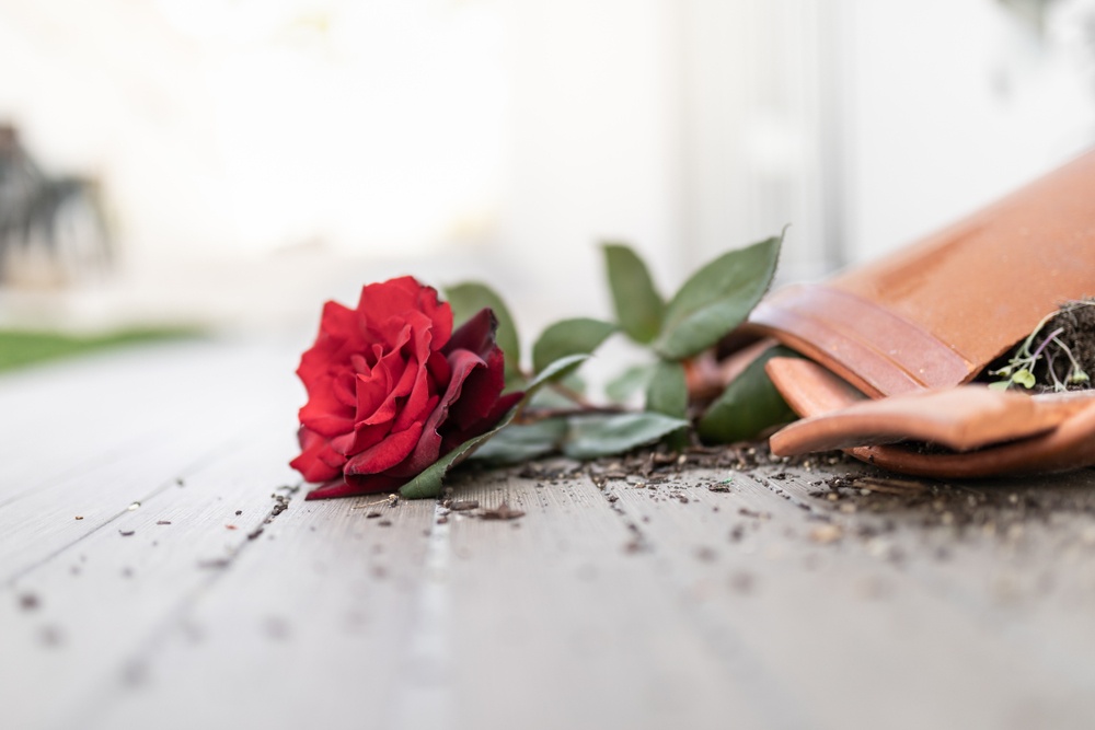 When God is Not Who Youd Prefer Him to Be - Meeting God in tragedy - broken pot, dirt and rose on floor - Shutterstock