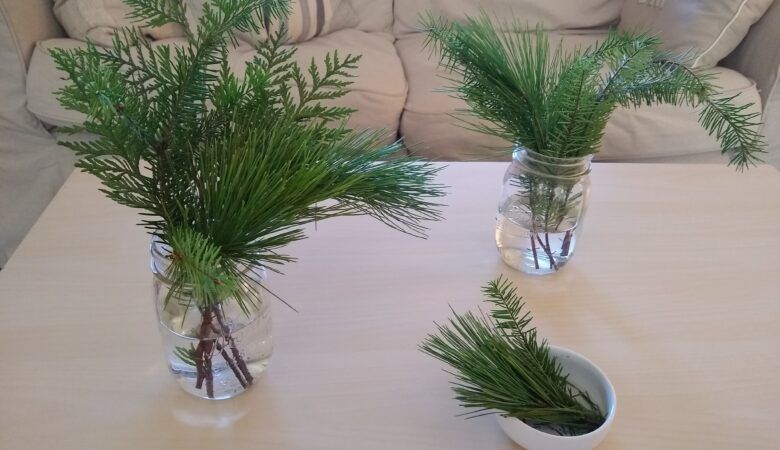 Mindfulnespruce and fir tree sprigs trimmed to fit mason jars to spread holiday beauty and scent throughout your home!