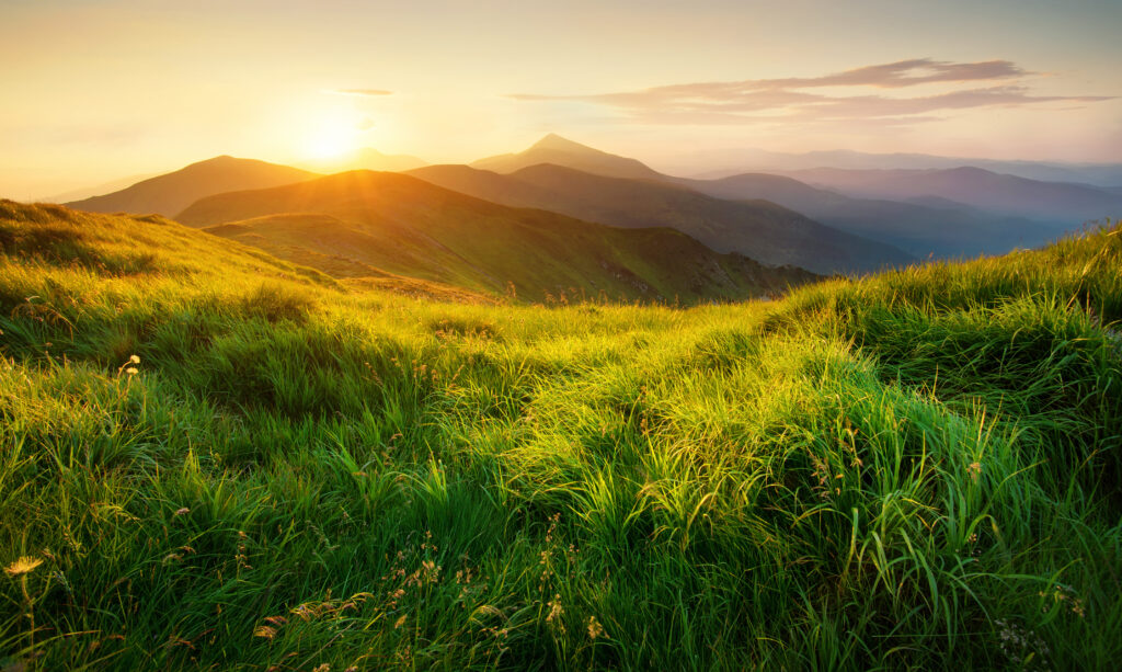 taking time to nurture your sense of sight - sun setting on a mountain meadow 