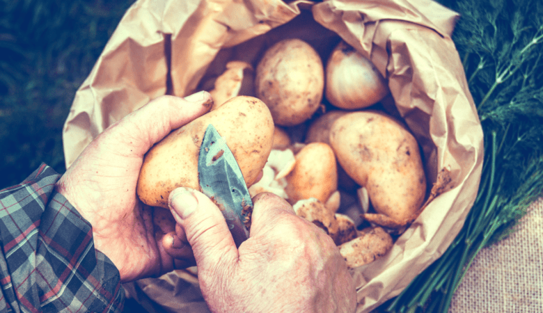 a man's aged hands peeling potatoes with a knife