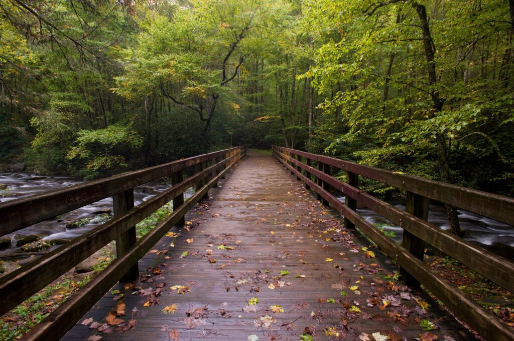 foggy bridge in th forest - Smokey Mountain National Park