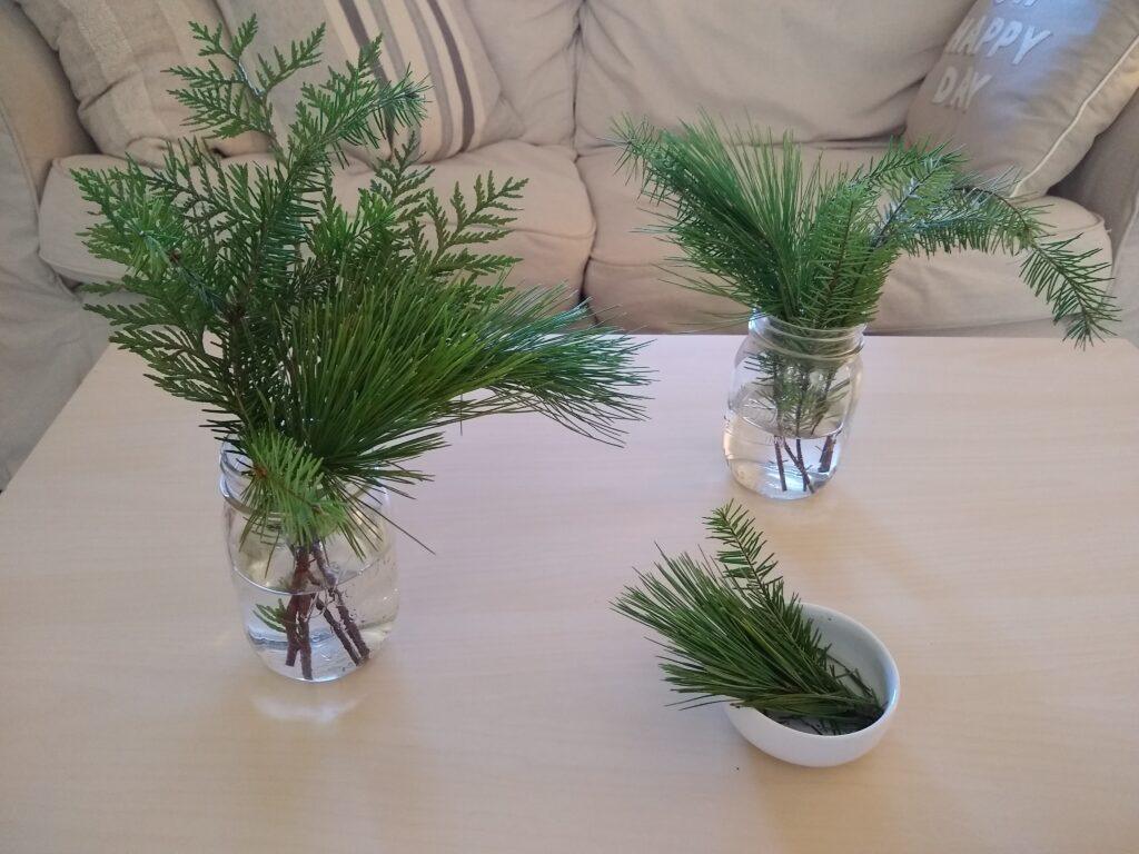 the festive simplicity of evergreen boughs - accidental mindfulness awakens with sprigs of fir in mason jars