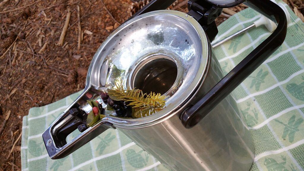 an outdoor pot of tea brewed from needles and berries after forest bathing in Parksville BC