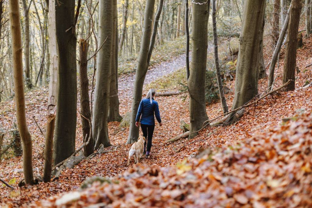 Nature breaks monotony - woman walking in Autumn leaves