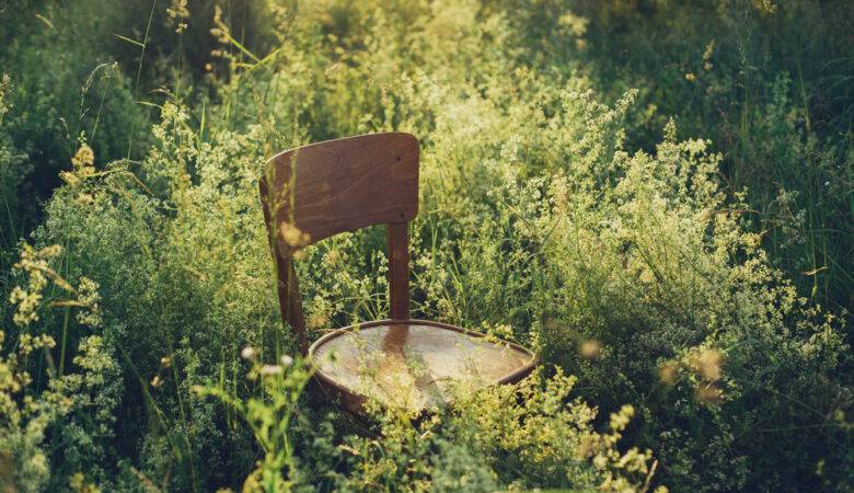 Stillness of Soul - Rustic Chair in Field of Wild Flowers