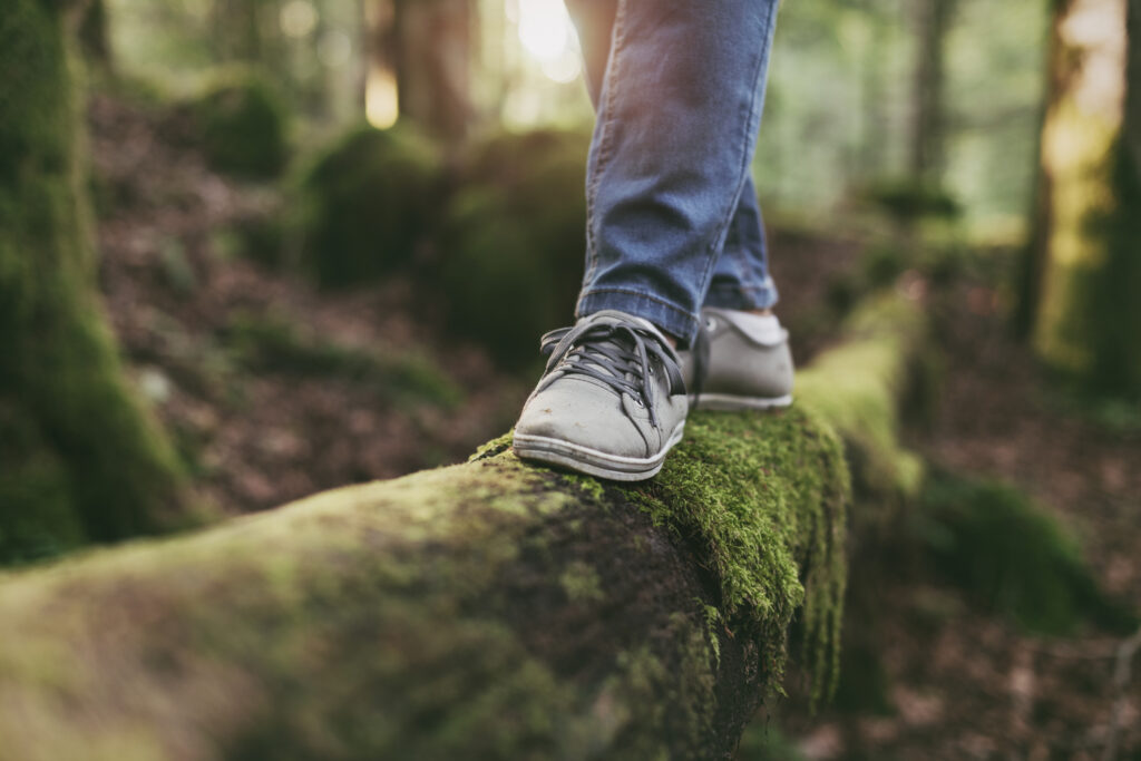 Feet Walking on a Log in the Forest iStock-901234952