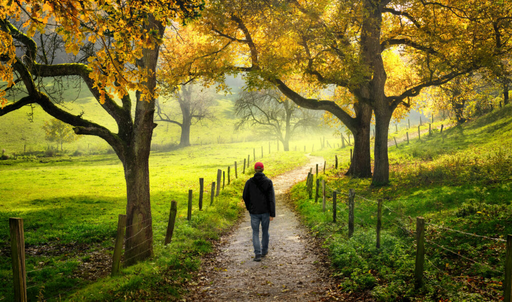 Man Walks Along Single Path in Autumn Countryside