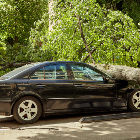 Do The Next Thing — A Poem for Endurance