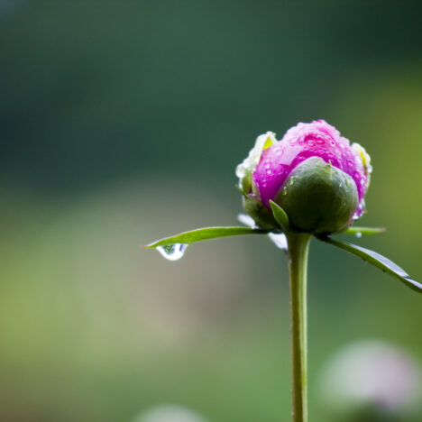 Is Karma Real? — What The Bible Says