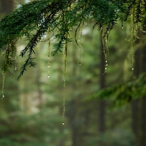 Living Moment By Moment — Why It Matters